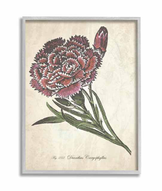 Botanical Carnation Flower Drawing Red Green Design, 11"x14", Gray Frame