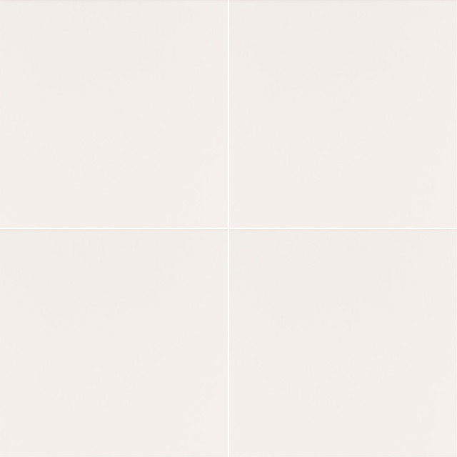 Adella White Matte Porcelain Tile, Sample Traditional Wall And