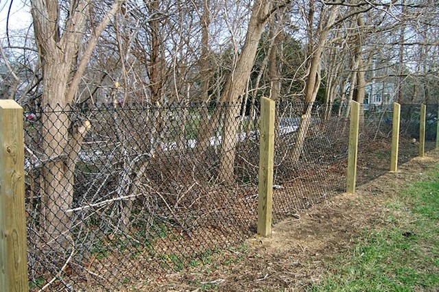 Chain Link Fencing have