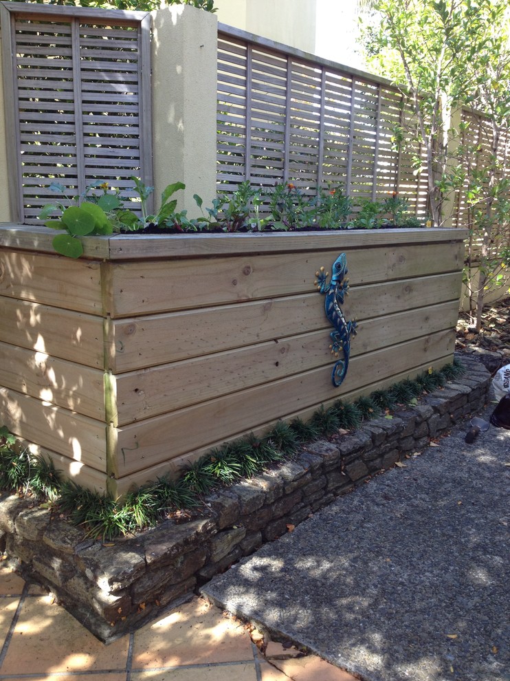 Design ideas for a small eclectic garden in Auckland with a container garden.