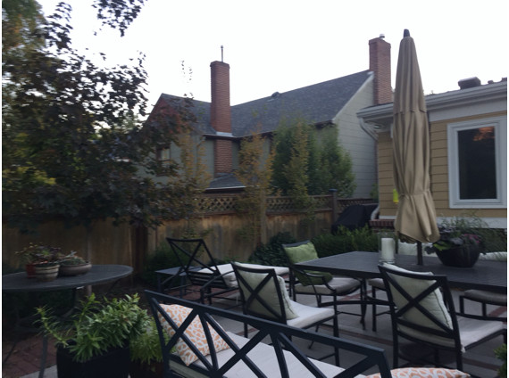 Backyard Before