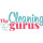 The Cleaning Gurus