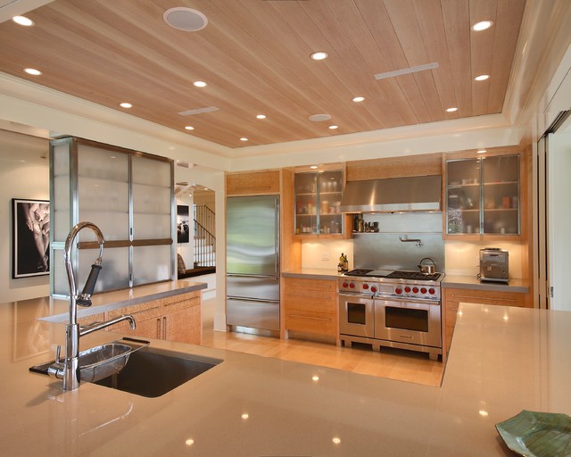 Project contemporary-kitchen