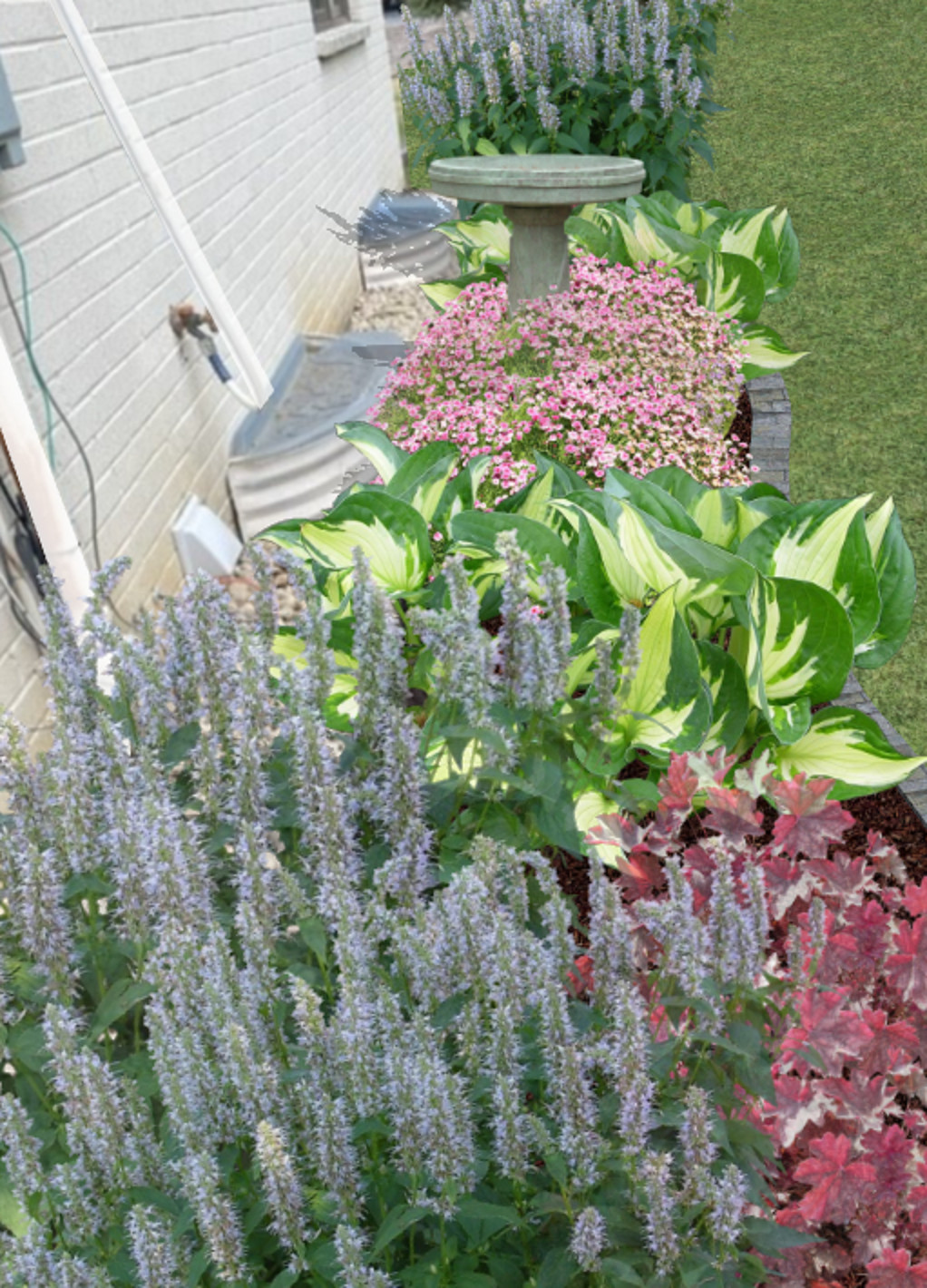 Cottage Gardens