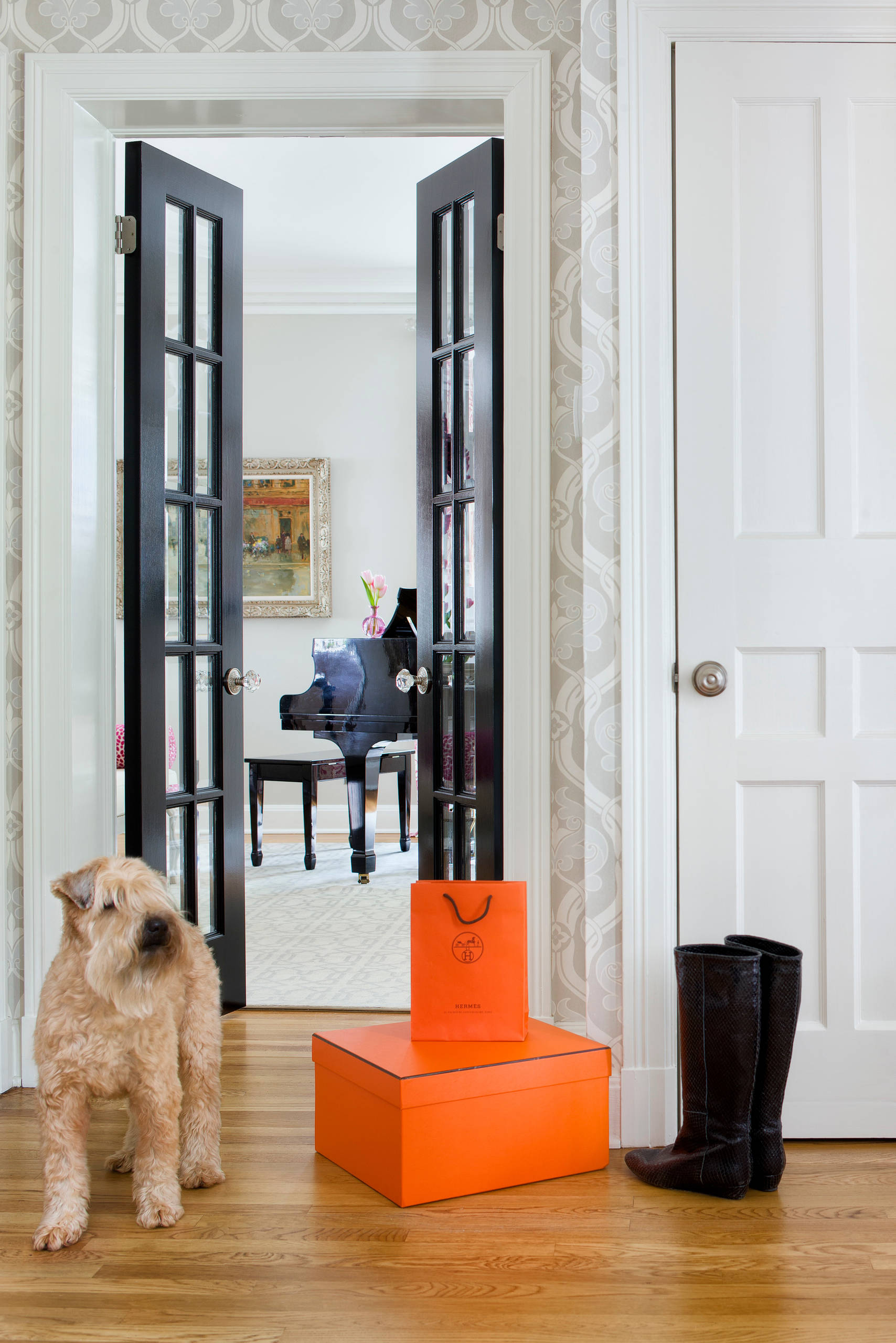 11 Reasons Why You Should Paint Your Interior Doors Black | Houzz AU