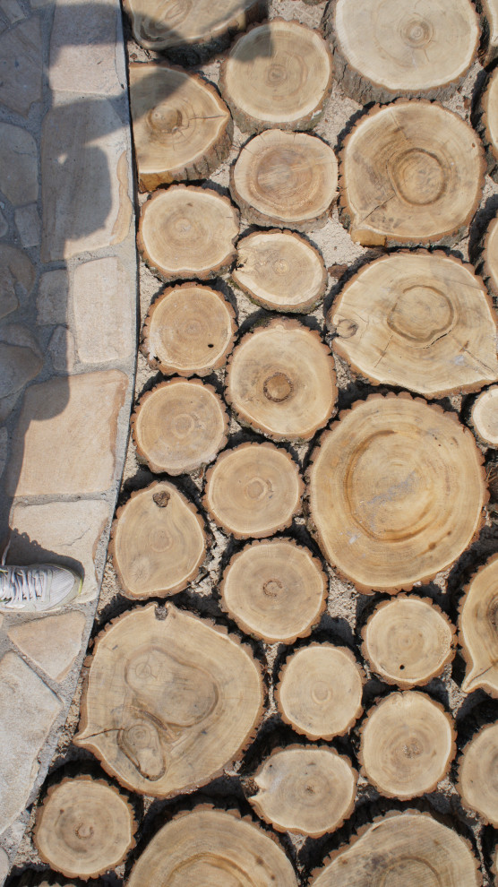 Прохорово лето 2017