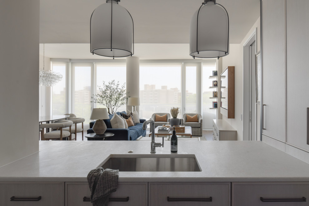 Kitchen - transitional kitchen idea in DC Metro