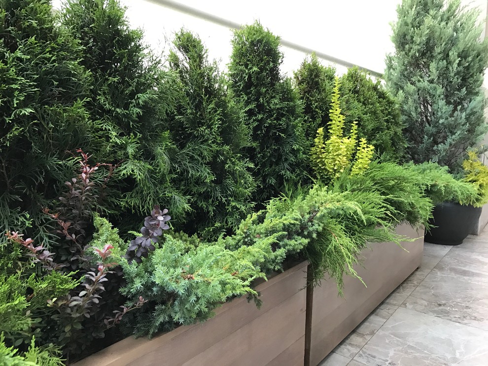 Балконы на Якиманке