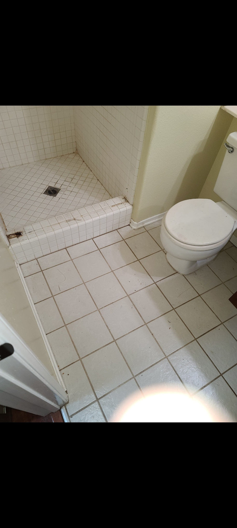 Our Work