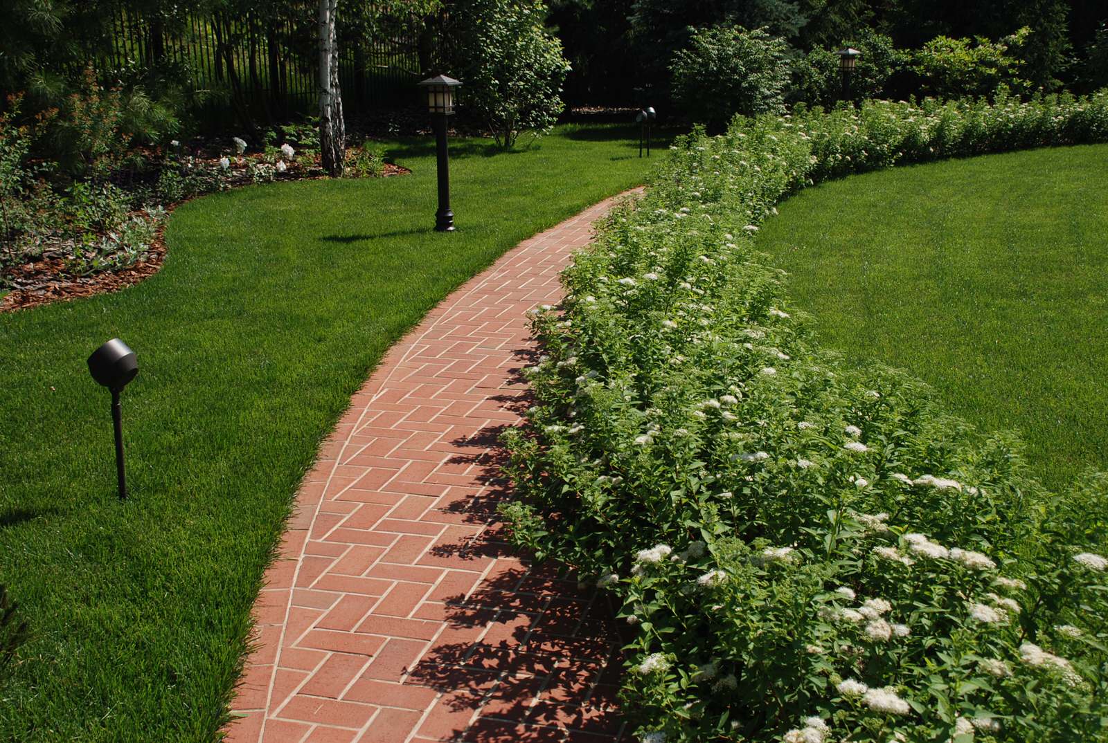 Сад в КП "Миллениум Парк"