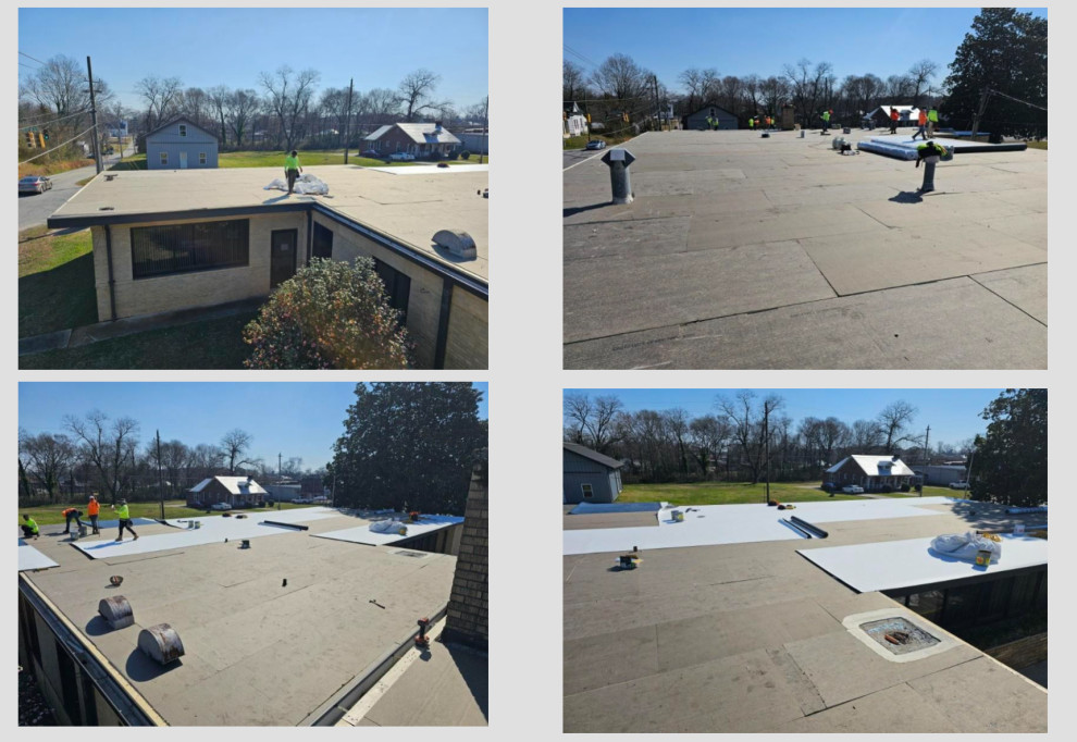 TPO Roofs