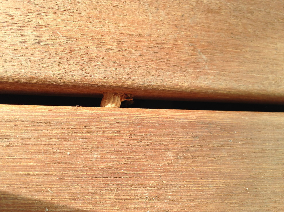 Decking boards lifting was the fixing method to blame?