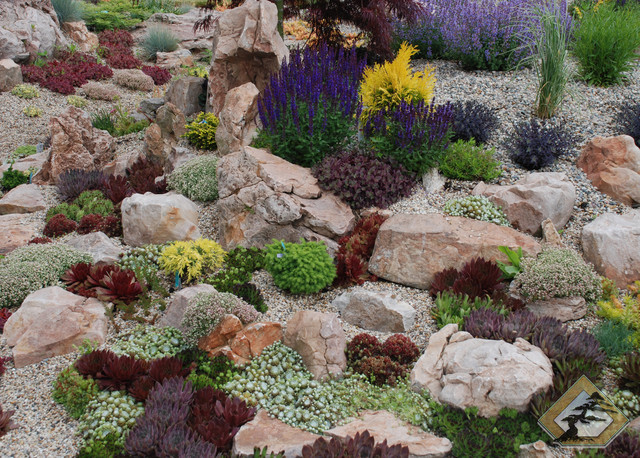 Succulent Rock Garden Garden Grand Rapids By Windscapes Landscaping