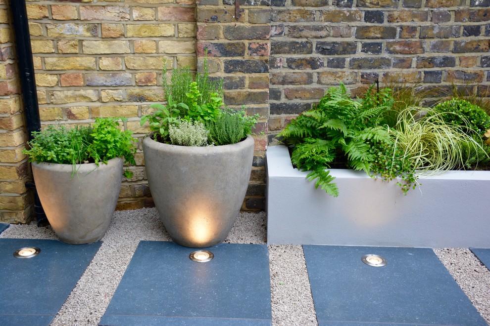 Design ideas for a small contemporary backyard partial sun garden in London.