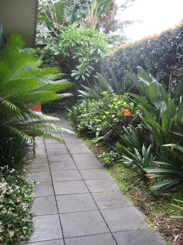 Foto de jardín exótico en patio trasero con exposición parcial al sol y adoquines de hormigón