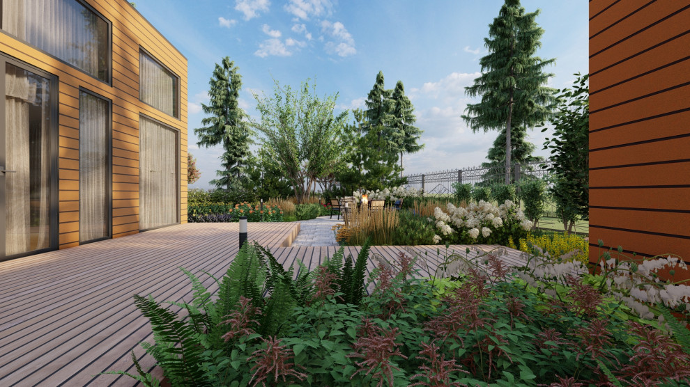 Солнечный лес