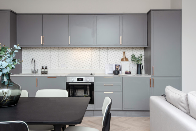 Wimbledon conversion flat contemporary-kitchen