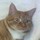 mary_joyce41