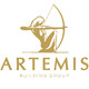 Artemis Building Group