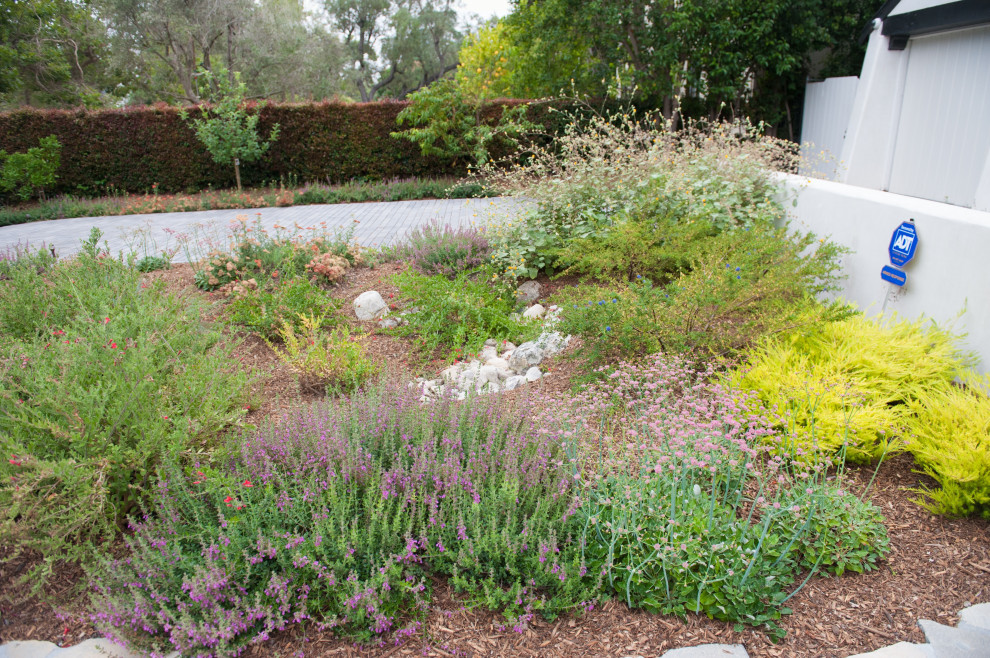 This is an example of an expansive front xeriscape partial sun garden for winter in Los Angeles with a flowerbed, brick paving and a stone fence.