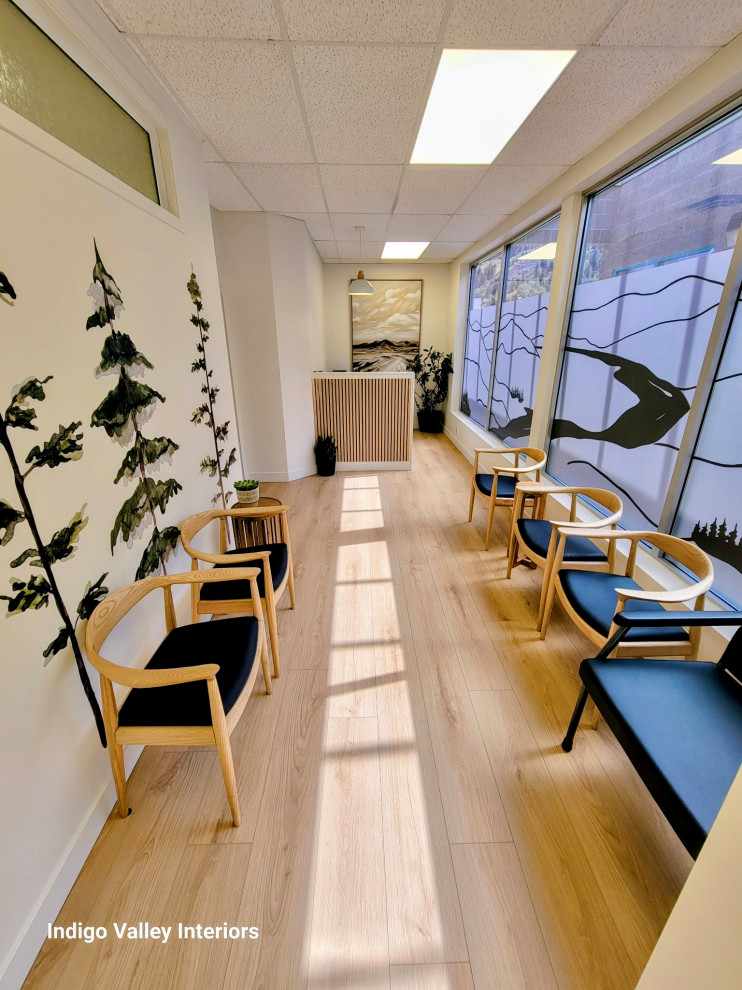 The Women's Wellness Project