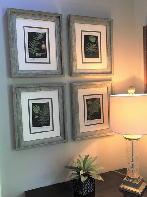 Original Vintage 1925 Botanical Fern Framed Prints, Set of 2 - Tropical ...