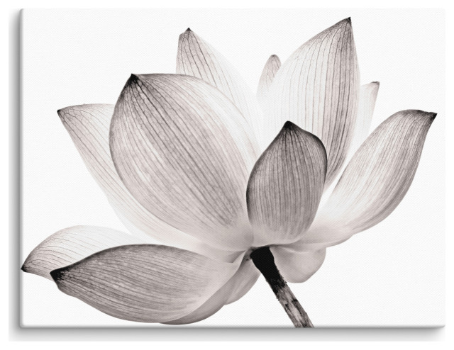 Lotus Flower Images Canvas Wall Art - Tinted Floral Nature Photo Print ...