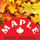 maple services