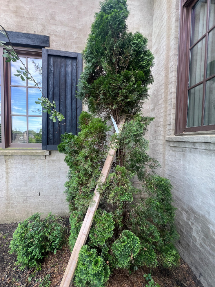 Cedar Shutter Restoration