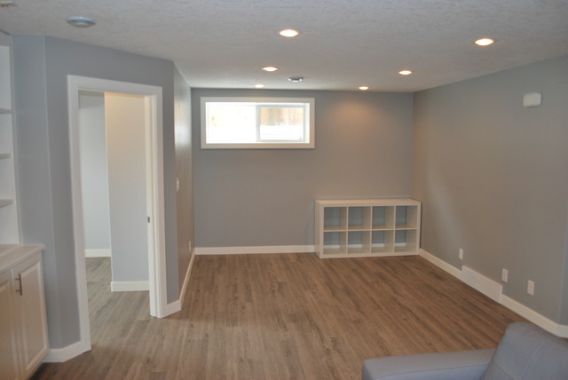 Basement developement transitional-basement