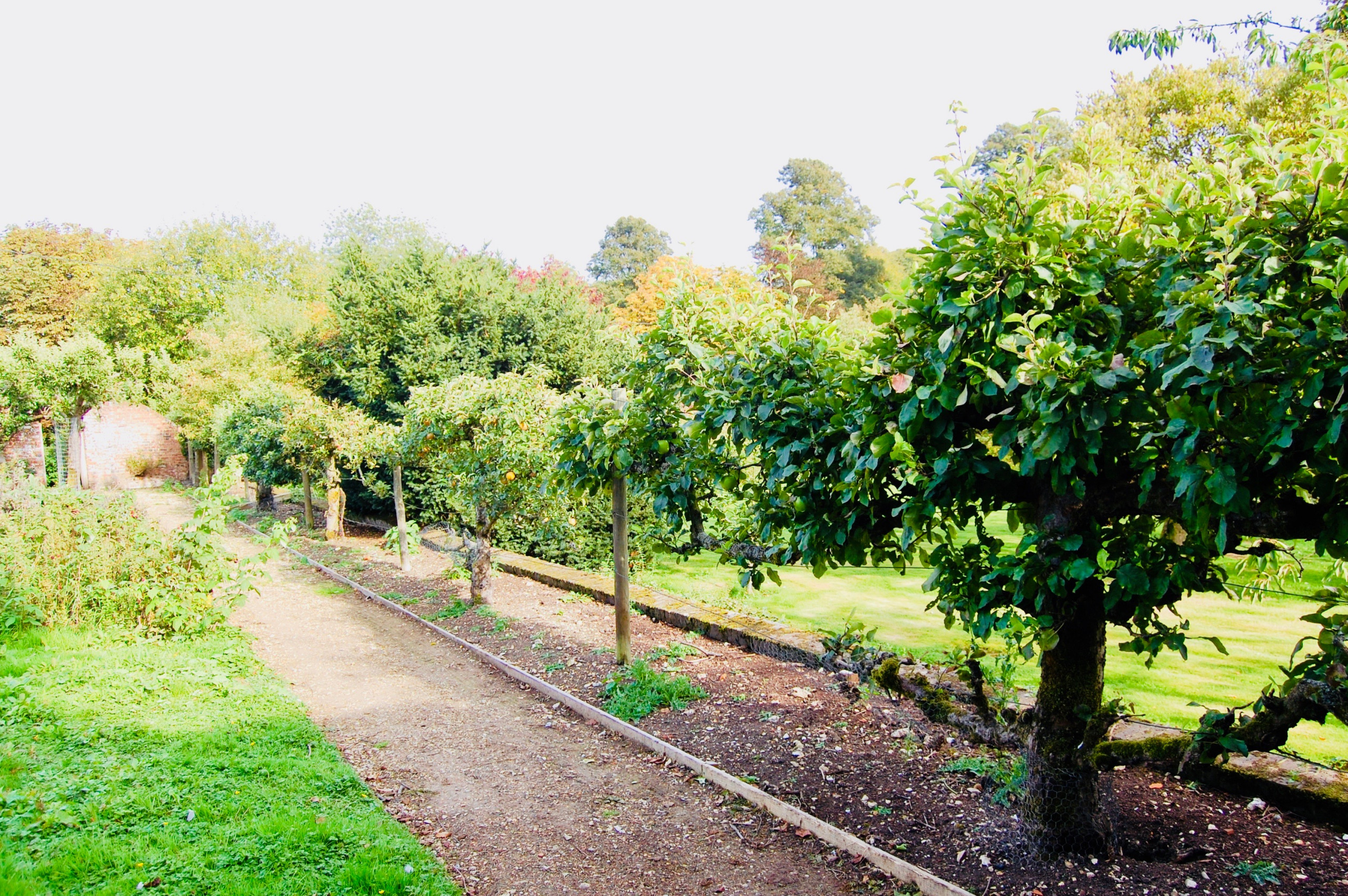 Arboriculture