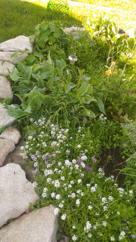 Серия "Любимый дом" Вид из окна