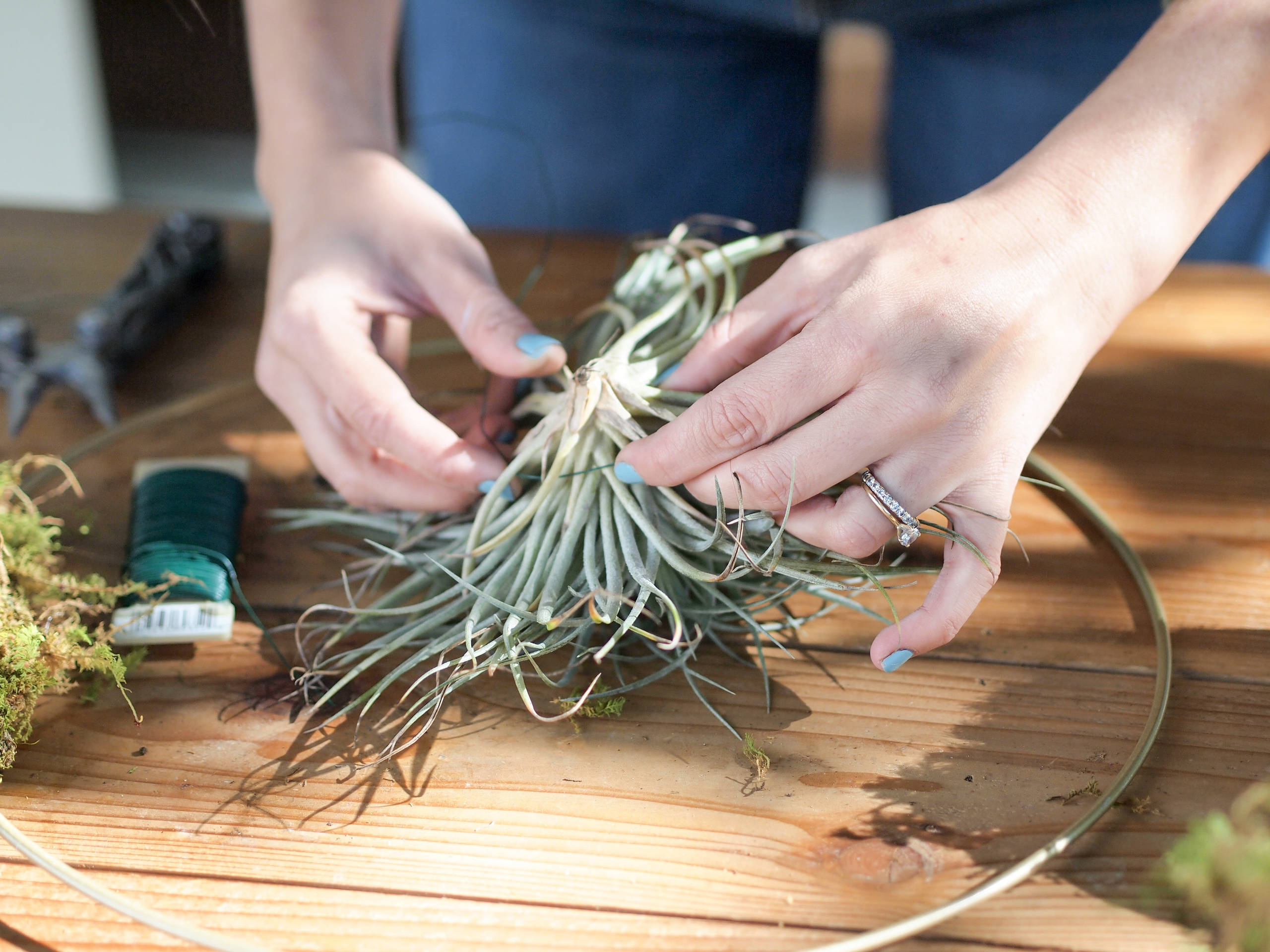 DIY: Holiday Air Plant Wreath