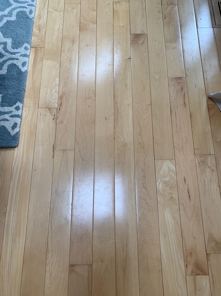 Staining Maple Hardwood Floors Dark Floor Roma
