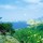 webuser_139645639