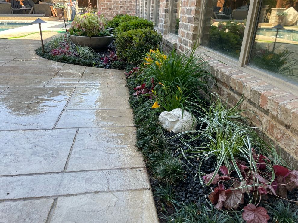 Back yard and pool landscape