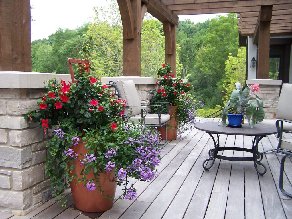 Potted Pots of Peter Atkins and Associates with Red Lantana, Verbena, Ivy in Clay Urns on Porch