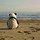 jessica_wang67