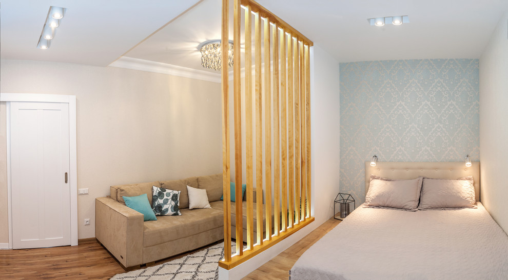 Гостиная с функцией спальни