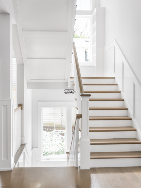 Naperville New Construction lantlig-trappa