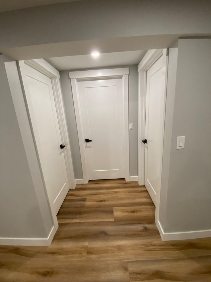 Basement Development