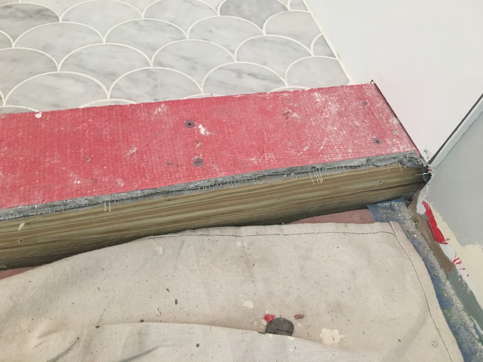 Help! Need advice about waterproofing our shower curb.