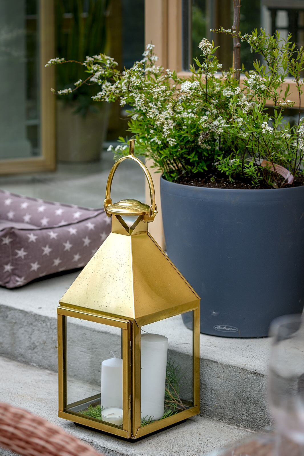 "На Дачу" к Татьяне Веденеевой