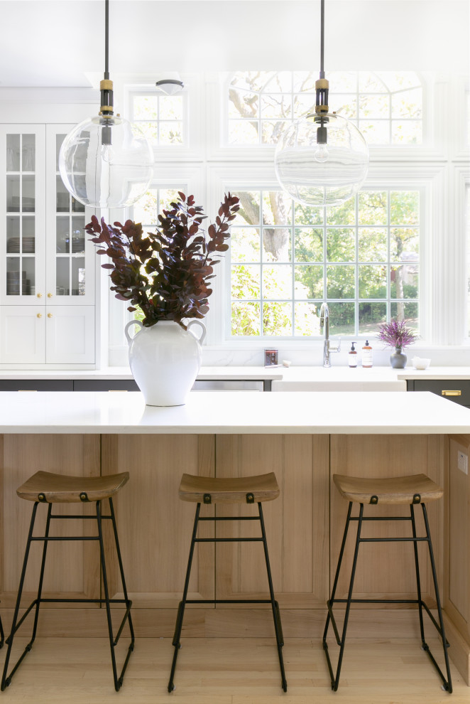 Kitchen - transitional kitchen idea in Chicago