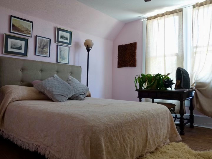 Emergency Mold Mitigation Rainbow House Repaint
