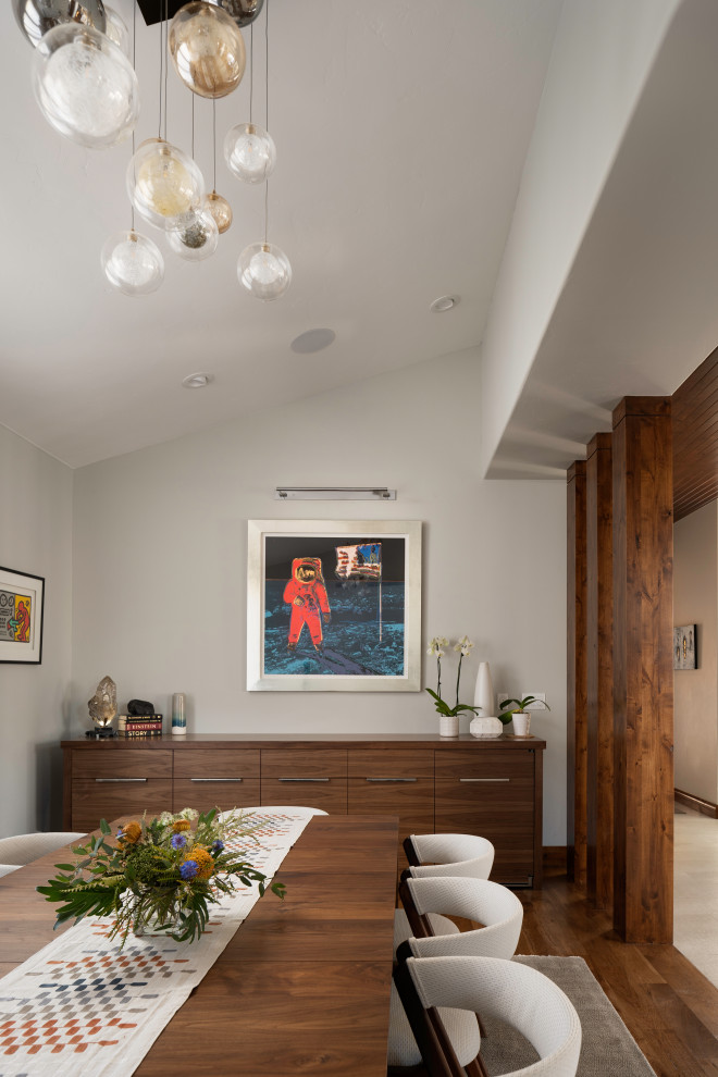 Mid-sized contemporary dining room in Denver with medium hardwood floors, brown floor, vaulted and wood walls.