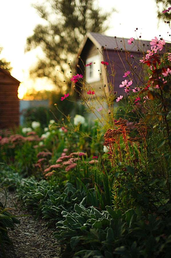 Романтический сад