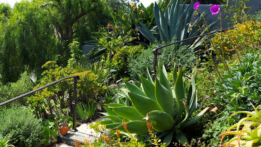 Стильный дизайн: участок и сад в средиземноморском стиле - последний тренд