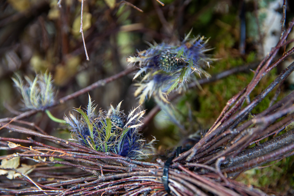 Фотосъемка Сада   по  Метрелинку на MFS 2019 Авторы М,Береснева М. ПРИНТЦ