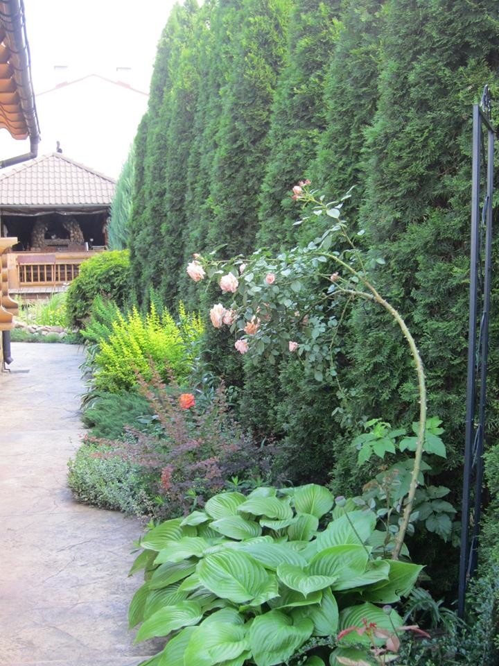 Ландшафт в пейзажном стиле с плавательным прудом 12 соток